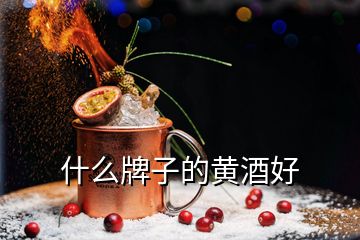 什么牌子的黃酒好