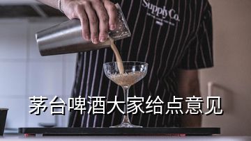 茅臺啤酒大家給點意見