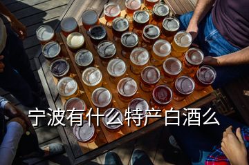 寧波有什么特產(chǎn)白酒么