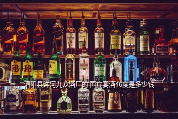 泗陽縣洋河九龍酒廠的 國賓宴酒46度是多少錢