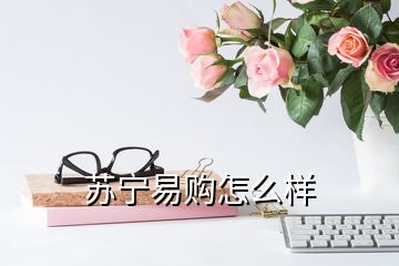 蘇寧易購(gòu)怎么樣