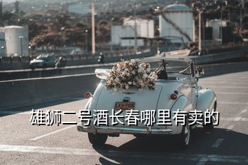 雄獅二號(hào)酒長(zhǎng)春哪里有賣(mài)的