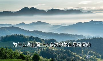 為什么說市面上大多數(shù)的茅臺(tái)都是假的