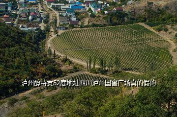 瀘州醇特貢52度地址四川瀘州國(guó)窖廣場(chǎng)真的假的