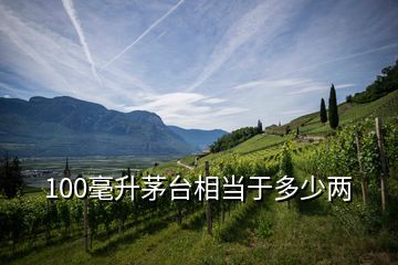 100毫升茅臺相當(dāng)于多少兩