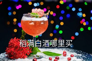 稻滿白酒哪里買