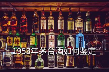 1953年茅臺酒如何鑒定