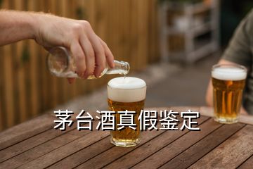 茅臺酒真假鑒定