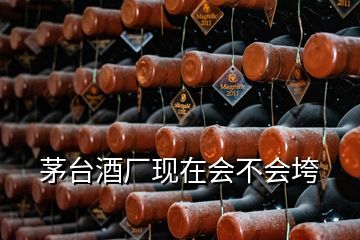 茅臺(tái)酒廠現(xiàn)在會(huì)不會(huì)垮