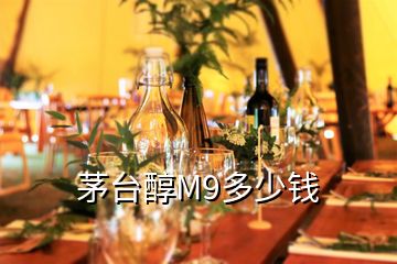 茅臺(tái)醇M9多少錢