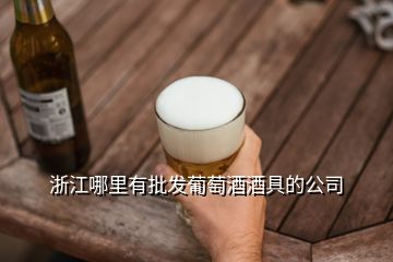 浙江哪里有批發(fā)葡萄酒酒具的公司