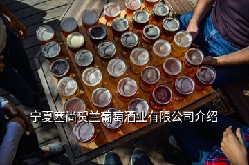 寧夏塞尚賀蘭葡萄酒業(yè)有限公司介紹