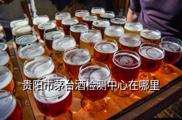 貴陽市茅臺酒檢測中心在哪里