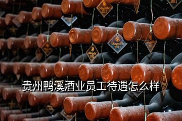 貴州鴨溪酒業(yè)員工待遇怎么樣