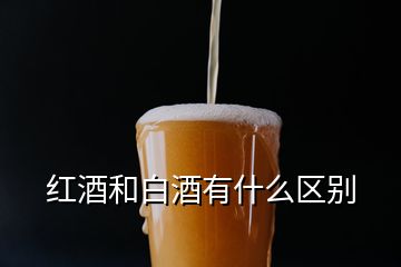 紅酒和白酒有什么區(qū)別