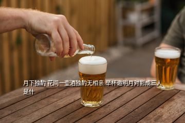 月下獨(dú)酌 花間一壺酒獨(dú)酌無(wú)相親 舉杯邀明月對(duì)影成三人是什