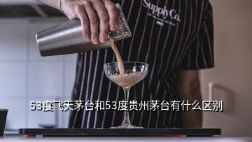 53度飛天茅臺和53度貴州茅臺有什么區(qū)別