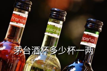 茅臺(tái)酒杯多少杯一兩