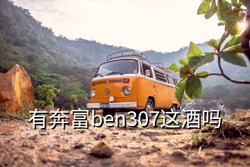 有奔富ben307這酒嗎