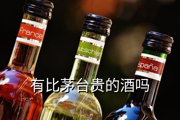 有比茅臺貴的酒嗎