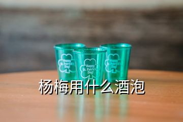 楊梅用什么酒泡