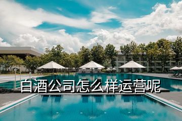 白酒公司怎么樣運(yùn)營(yíng)呢