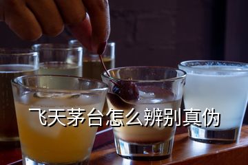 飛天茅臺(tái)怎么辨別真?zhèn)?></p>
<h2 id=