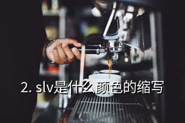 2. slv是什么顏色的縮寫