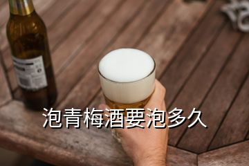 泡青梅酒要泡多久