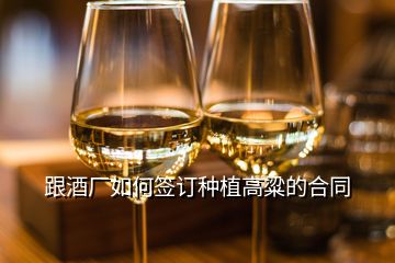 跟酒廠如何簽訂種植高粱的合同