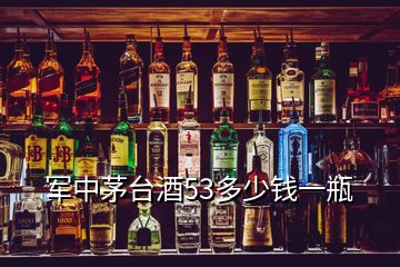 軍中茅臺酒53多少錢一瓶