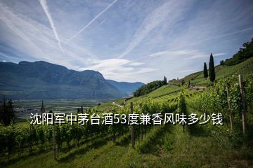 沈陽軍中茅臺酒53度兼香風(fēng)味多少錢