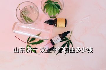 山東 濟(jì)寧 汶上中都特曲多少錢