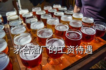 茅臺(tái)酒廠的工資待遇