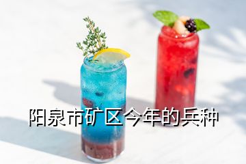 陽(yáng)泉市礦區(qū)今年的兵種