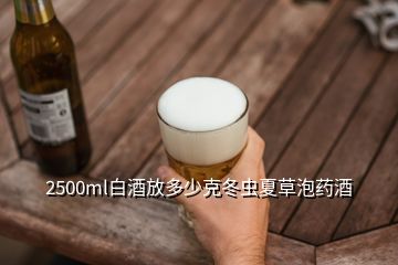 2500ml白酒放多少克冬蟲夏草泡藥酒