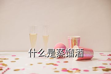 什么是蒸餾酒