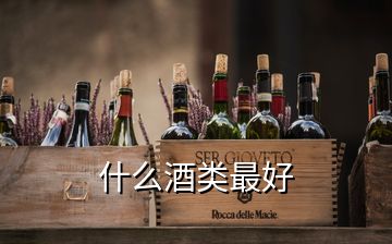 什么酒類最好