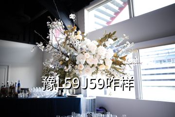 豫L59J59咋樣