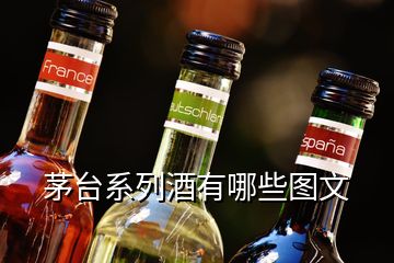 茅臺系列酒有哪些圖文