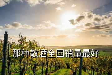 那種散酒全國銷量最好