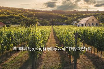 進口啤酒批發(fā)公司有與哪家公司合作貌似更好些