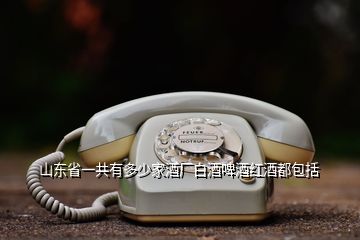 山東省一共有多少家酒廠白酒啤酒紅酒都包括