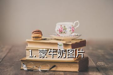 1. 蒙牛奶圖片