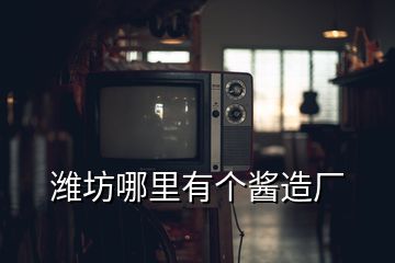 濰坊哪里有個醬造廠