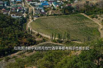 在我國詩歌中如雨月燭竹酒草等都有暗示性能引起