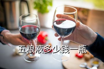 五糧液多少錢(qián)一瓶