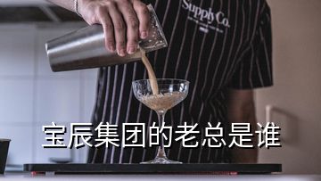 寶辰集團(tuán)的老總是誰