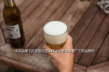 洋河品牌下的藍(lán)窖坊怎么樣這個是洋河酒廠下的品牌嗎