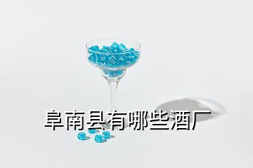 阜南縣有哪些酒廠